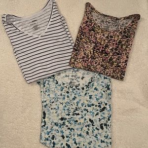 Sonoma Plus Size Everyday Tee Collection